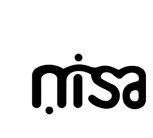 nisa logo