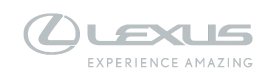 Sales Manager
