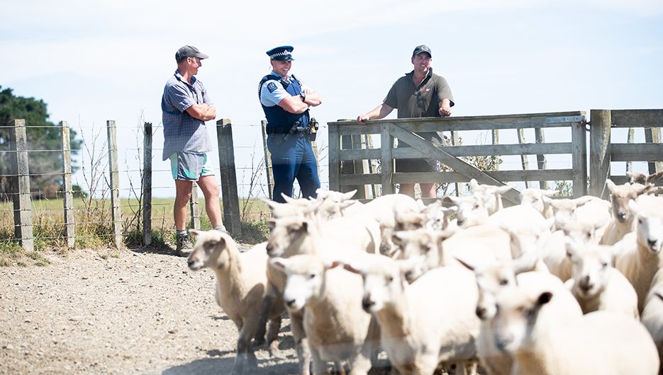 police looking at animals