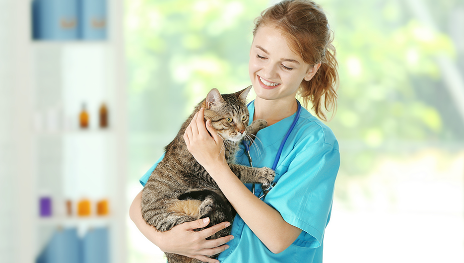 young girl petting a cat