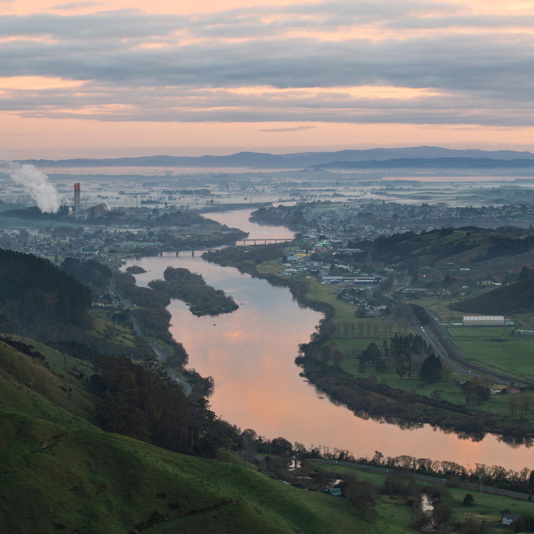 Untitled design - 14