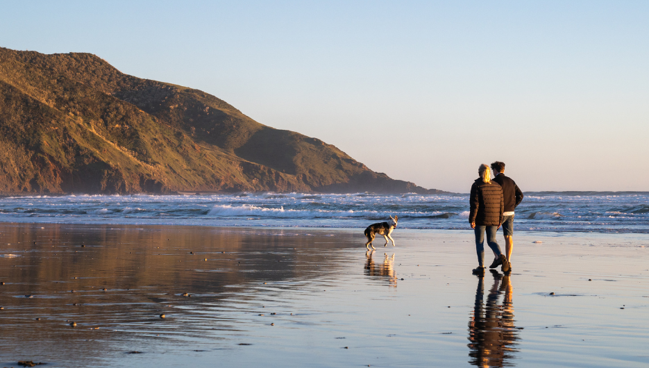 Waikato District Council - 935x530 - 1