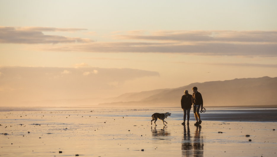 Waikato District Council - 935x530 - 3